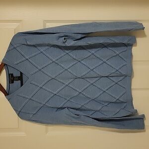 Banana Republic Blue V-Neck Sweater
